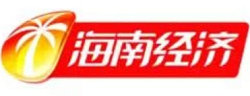 海南经济频道台标