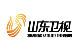 山东卫视台标